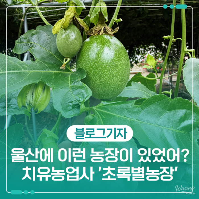 Healing Agriculture at Green Star Farm in Ulsan2139