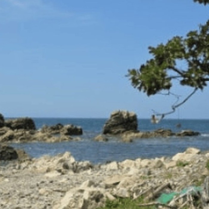Exploring the Scenic Homigot Coastal Trail in Pohang4513
