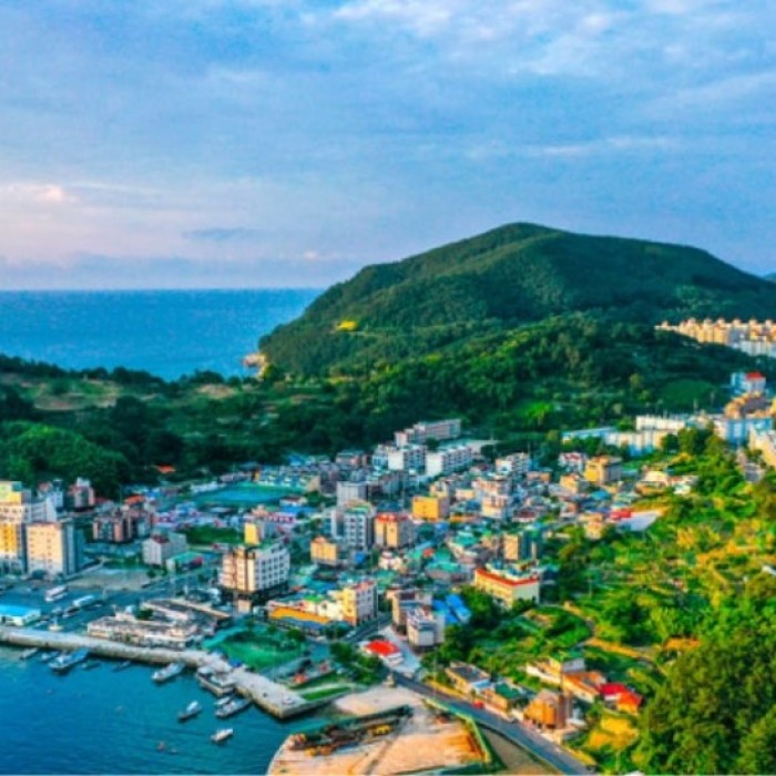 Exploring the Summer Charms of Geoje Island4515