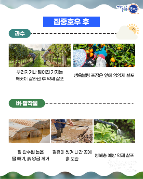 Preparing for Heavy Rain: Protect Your Crops and Ensure Safety_05
