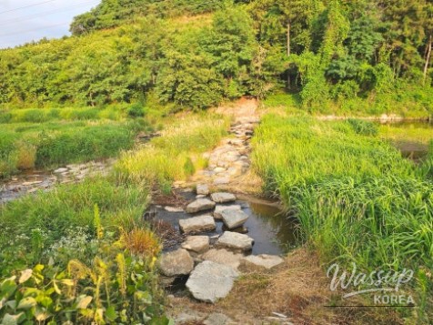 Discover the Beautiful Yesan Solbaram Trail_05