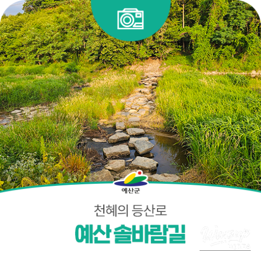 Discover the Beautiful Yesan Solbaram Trail_01