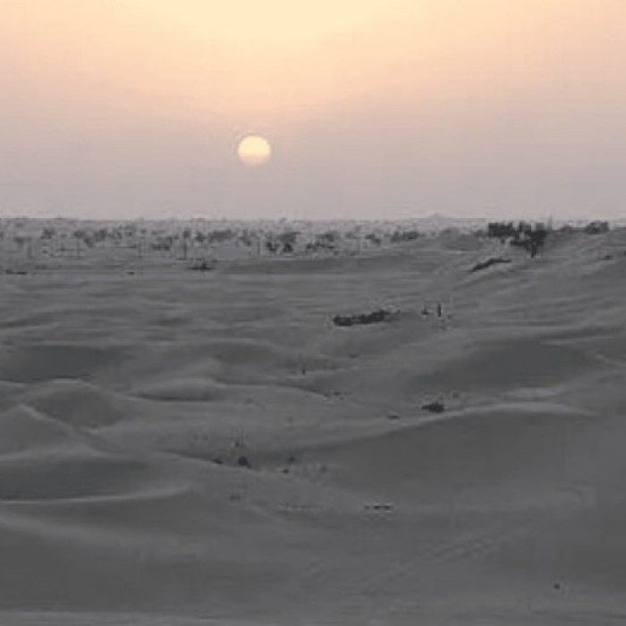 Experience the Allure of Dubai: A Perfect Winter Getaway4529