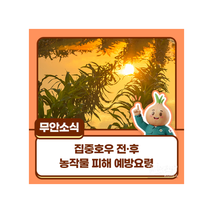Preparing for Heavy Rain: Protect Your Crops and Ensure Safety1440