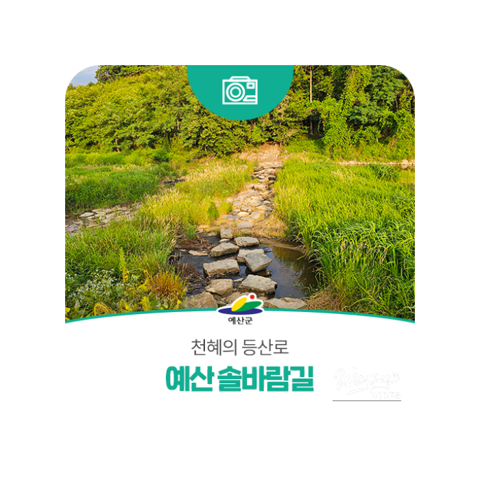 Discover the Beautiful Yesan Solbaram Trail4540