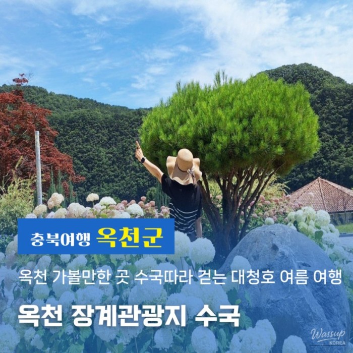 A Serene Summer in Okcheon: Exploring Jangkyek Tourist Area4538
