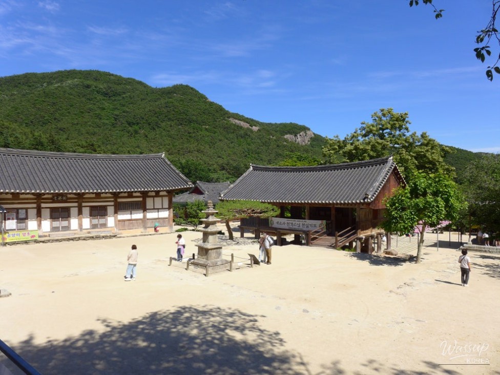 Healing Journey through the Cedar Forest at Naeso Temple, Jeonbuk_03