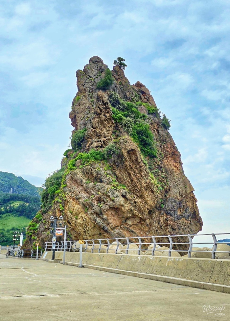 Exploring the Scenic Jeodong Coastal Trail in Ulleungdo_03