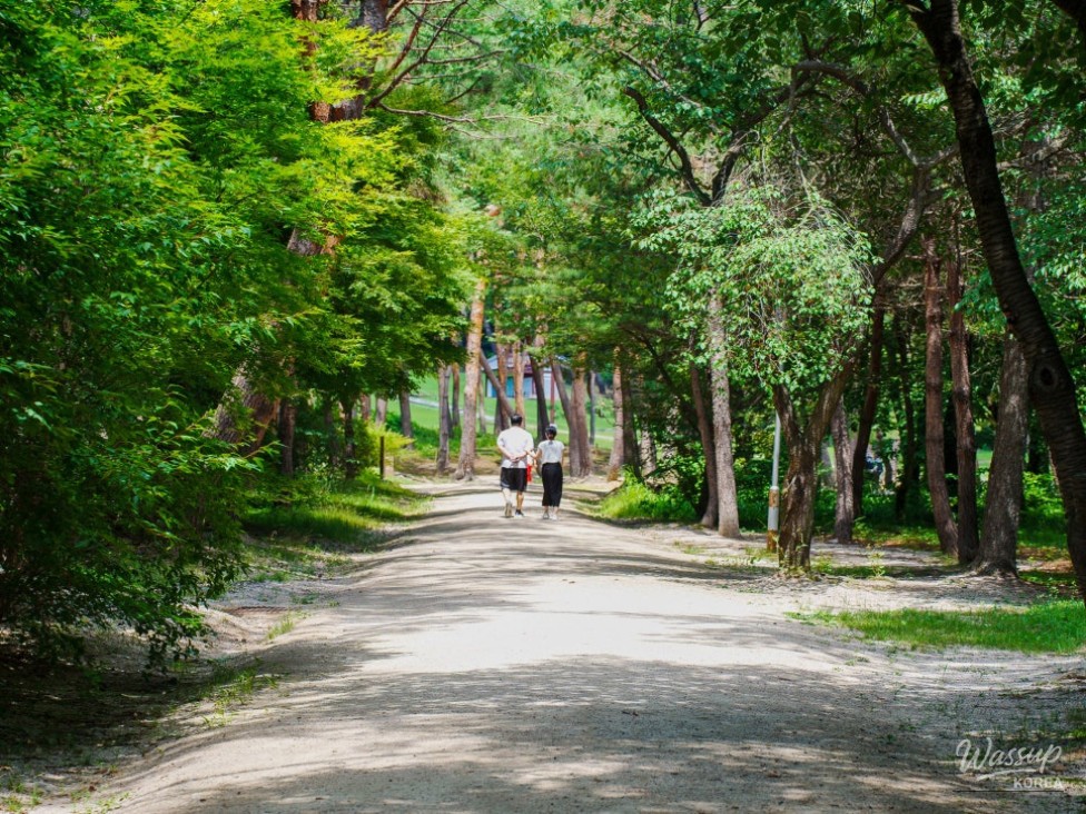 Exploring Goyang's Seororeung: A Healing Retreat in Nature_02