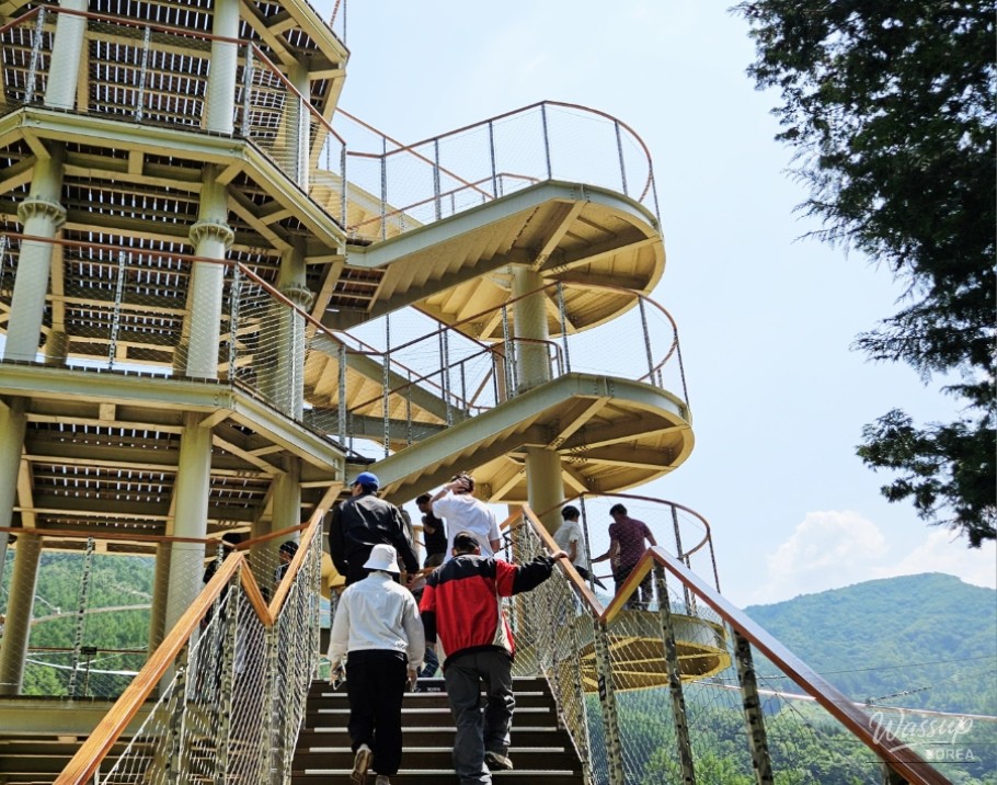 Exploring the Exciting Attractions of Geochang Forest Leisure Sports Park_05
