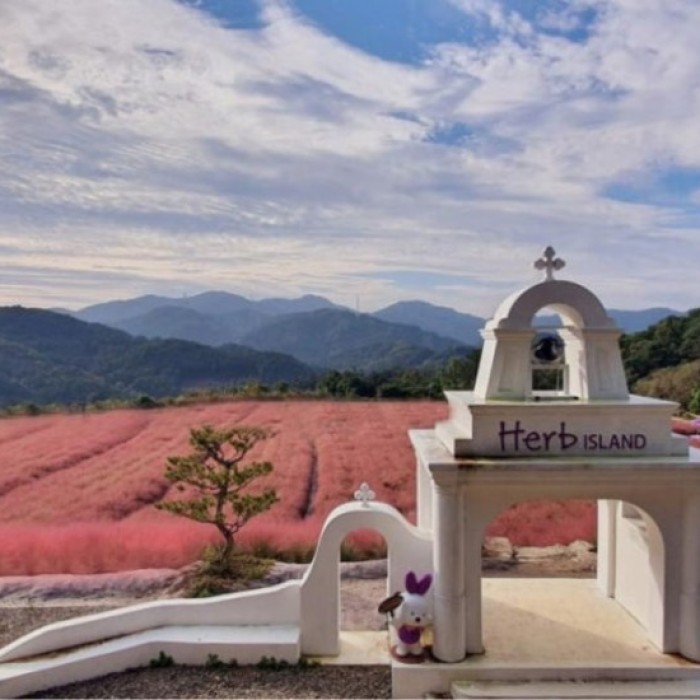 Discovering the Hidden Gems of Pocheon: A Perfect Day Trip4545