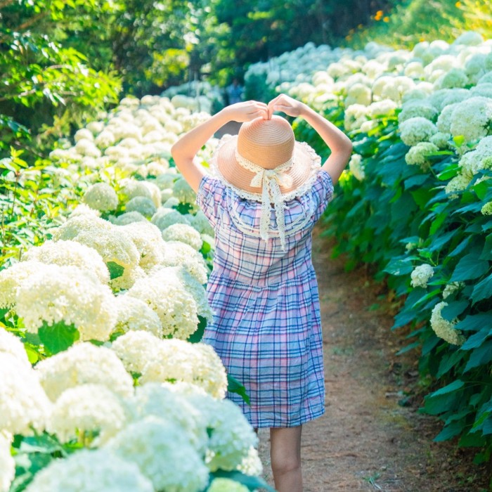 Exploring the Beauty of Dansan Samseonsan Arboretum4544