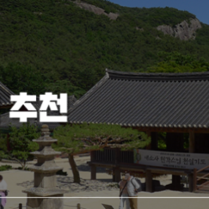 Healing Journey through the Cedar Forest at Naeso Temple, Jeonbuk2151