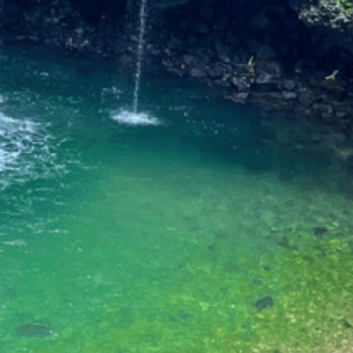 Discovering the Natural Beauty of Pigeon Falls4557