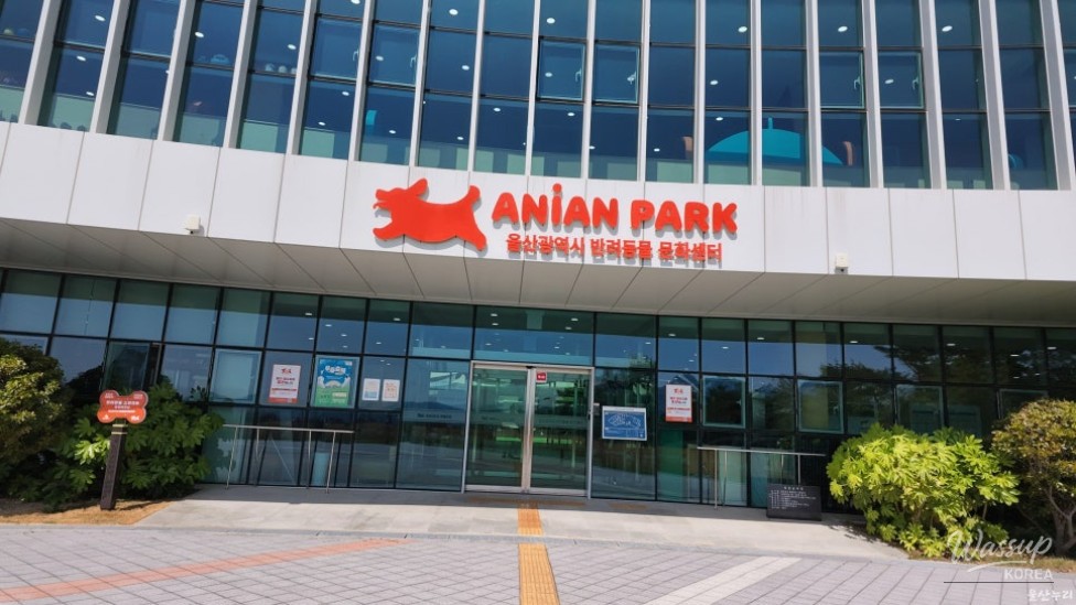 Ulsan Anyon Park: A Pet-Friendly Cultural Center for Dogs and Their Owners_05