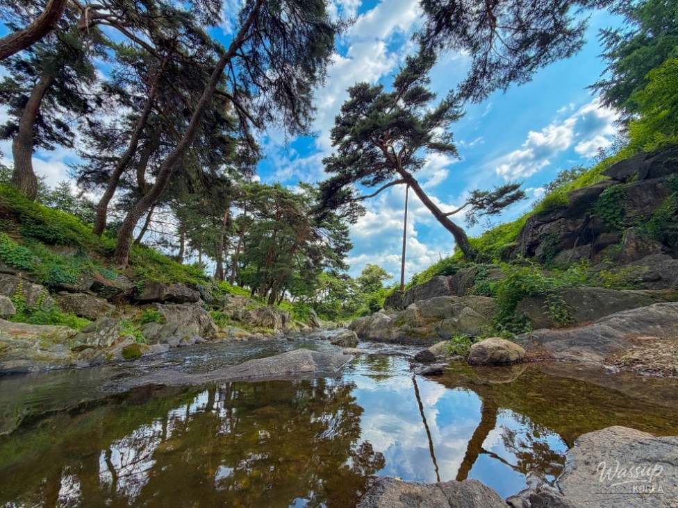 Discovering the Hidden Gem of Geumsunjeong in Yeongju_11