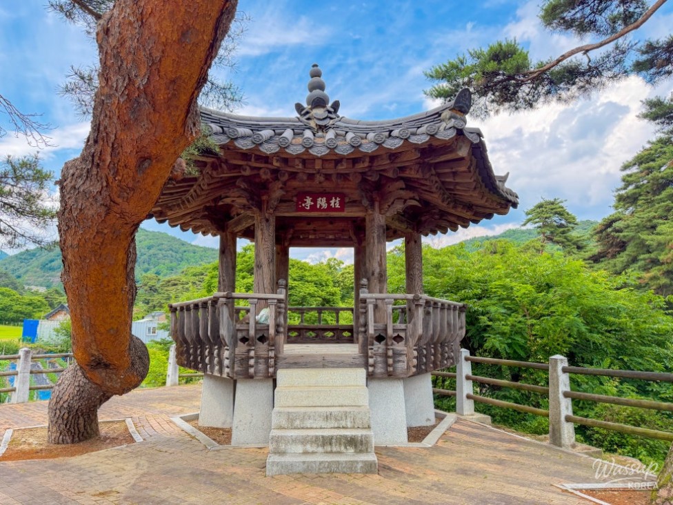 Discovering the Hidden Gem of Geumsunjeong in Yeongju_03