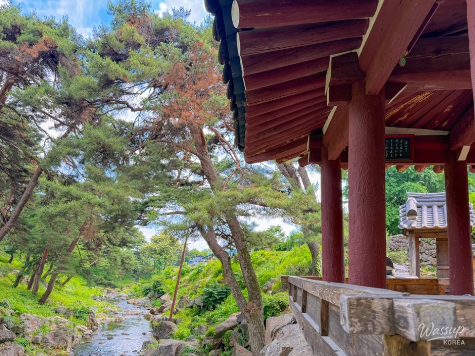 Discovering the Hidden Gem of Geumsunjeong in Yeongju_07