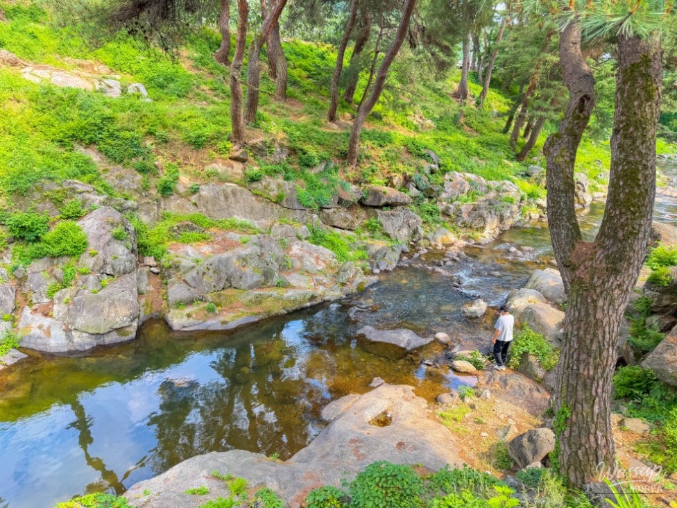 Discovering the Hidden Gem of Geumsunjeong in Yeongju_10