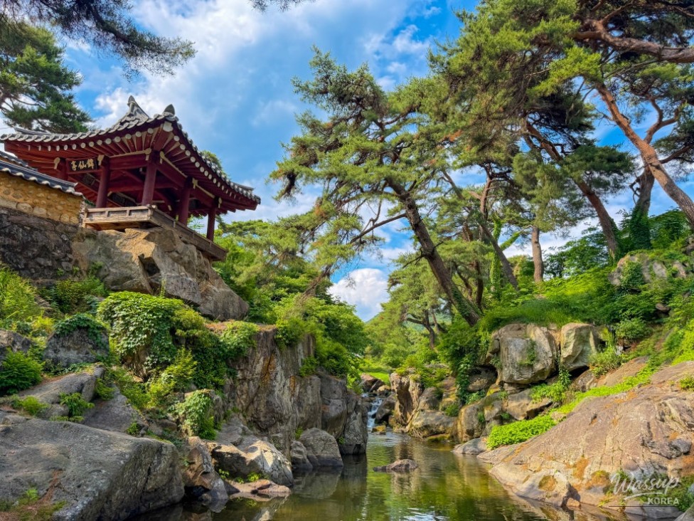 Discovering the Hidden Gem of Geumsunjeong in Yeongju_12