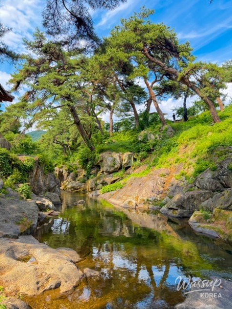 Discovering the Hidden Gem of Geumsunjeong in Yeongju_09