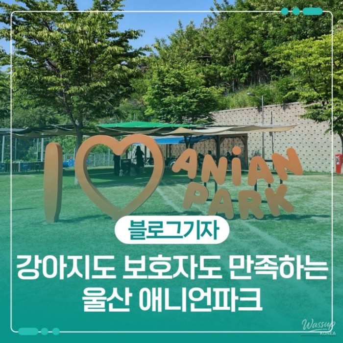 Ulsan Anyon Park: A Pet-Friendly Cultural Center for Dogs and Their Owners2163
