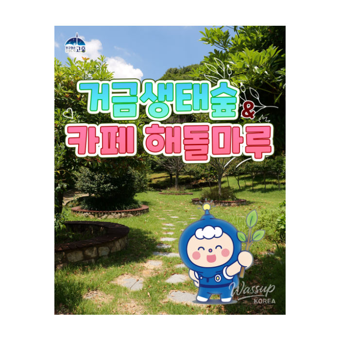 Discover the Beauty of Goheung's Eco Forest1444