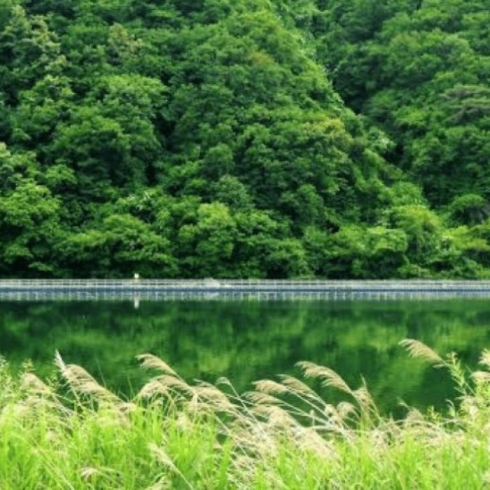 Discover the Scenic Paroho 100-ri Oxygen Trail in Hwacheon4570