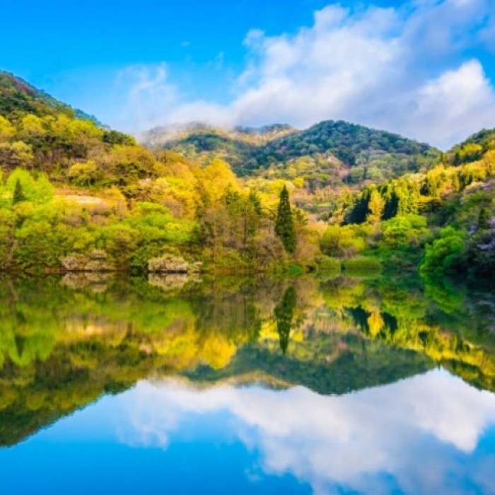 Discovering the Natural Wonders of Hwasun: A Perfect Summer Getaway4579