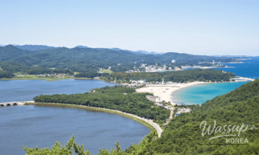 Discovering Dadaepo Beach: A Hidden Gem in Busan_09