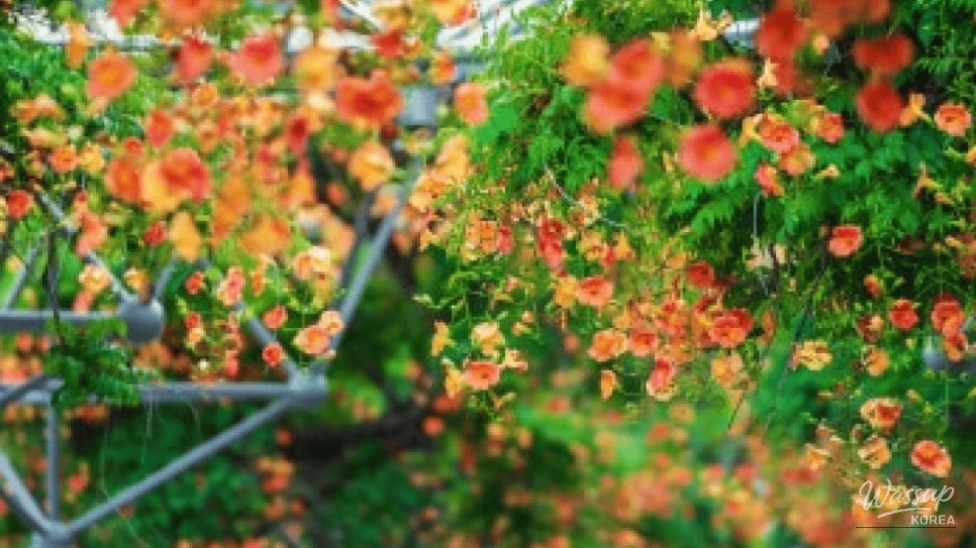 Explore the Vibrant Beauty of Bucheon Central Park_05