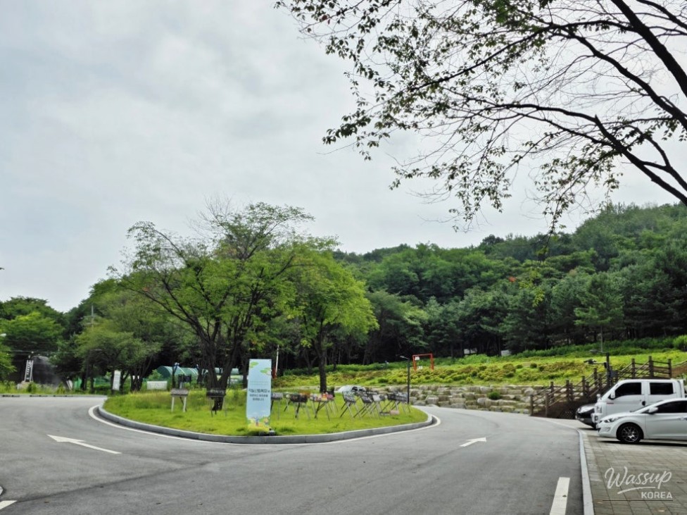 Discovering the Healing Forest of Jaiil in Uijeongbu_03