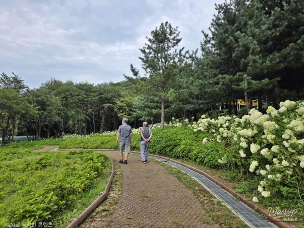 Discovering the Healing Forest of Jaiil in Uijeongbu_02