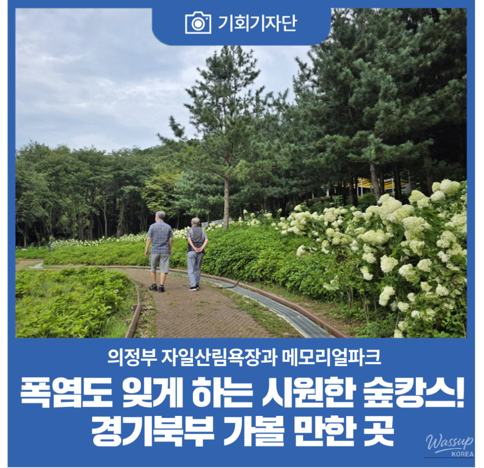 Discovering the Healing Forest of Jaiil in Uijeongbu_01