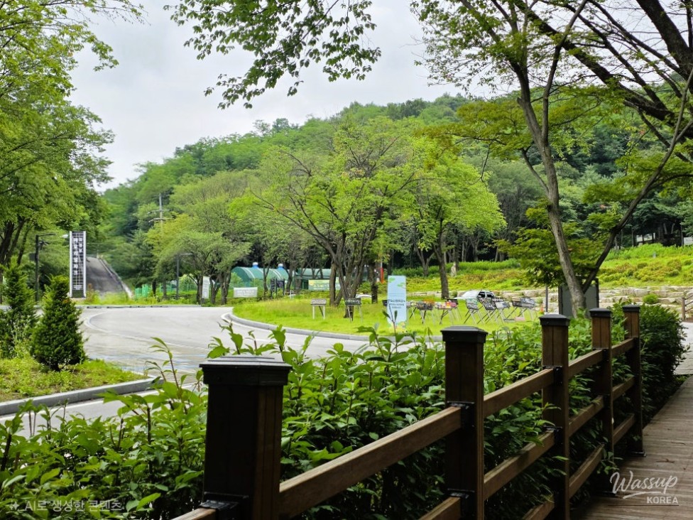 Discovering the Healing Forest of Jaiil in Uijeongbu_11