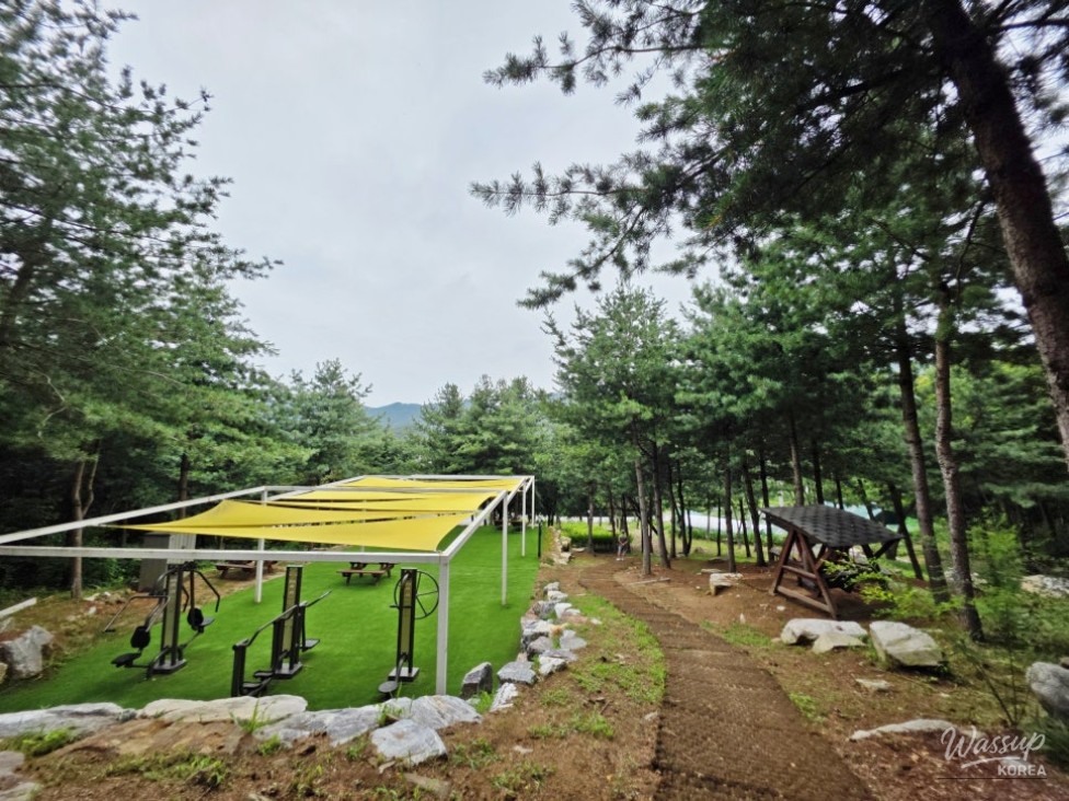 Discovering the Healing Forest of Jaiil in Uijeongbu_06
