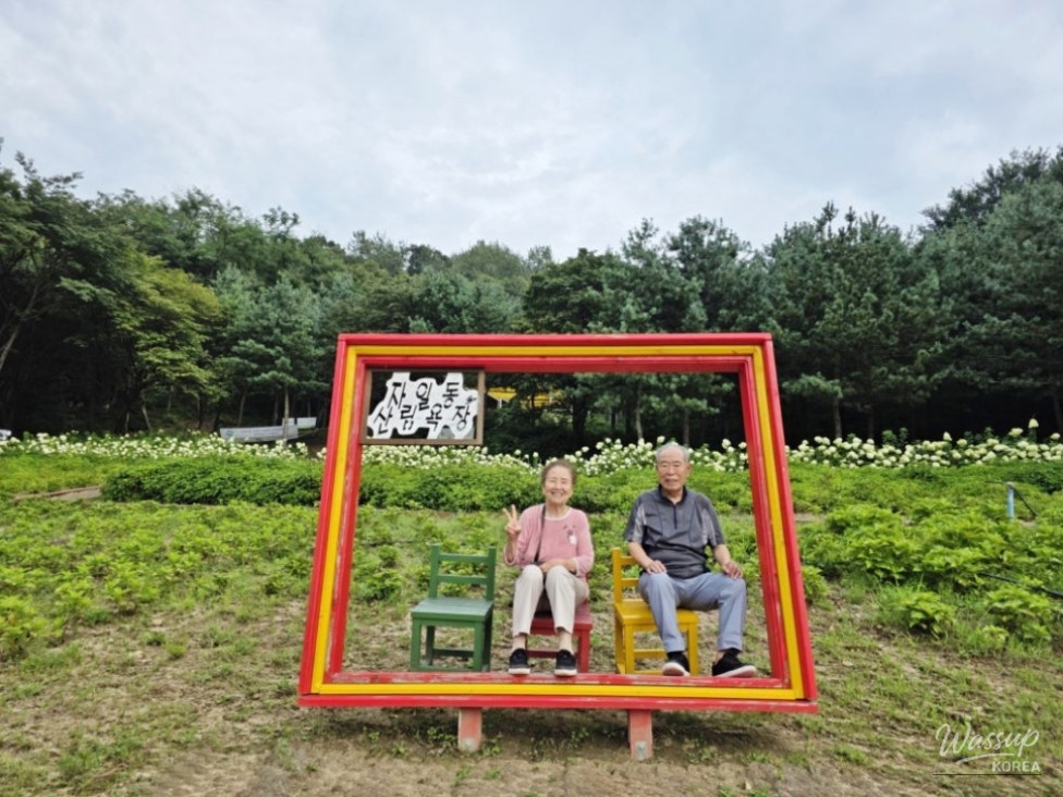 Discovering the Healing Forest of Jaiil in Uijeongbu_04