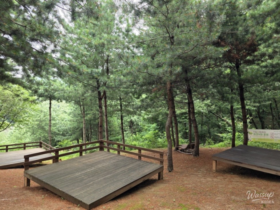 Discovering the Healing Forest of Jaiil in Uijeongbu_08