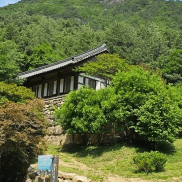 Discover the Healing Forest of Murung in Donghae, Gangwon Province4581