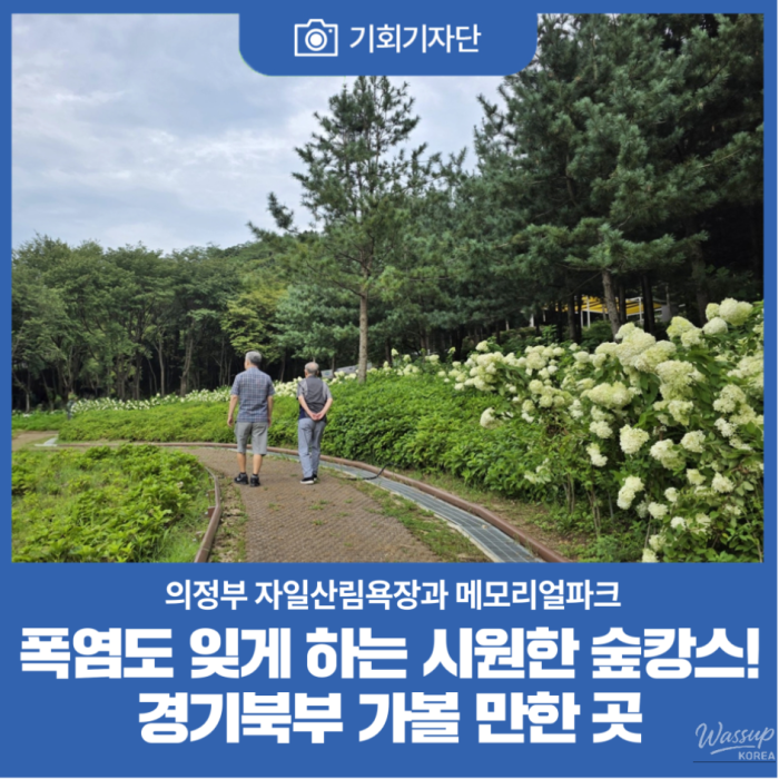 Discovering the Healing Forest of Jaiil in Uijeongbu_01