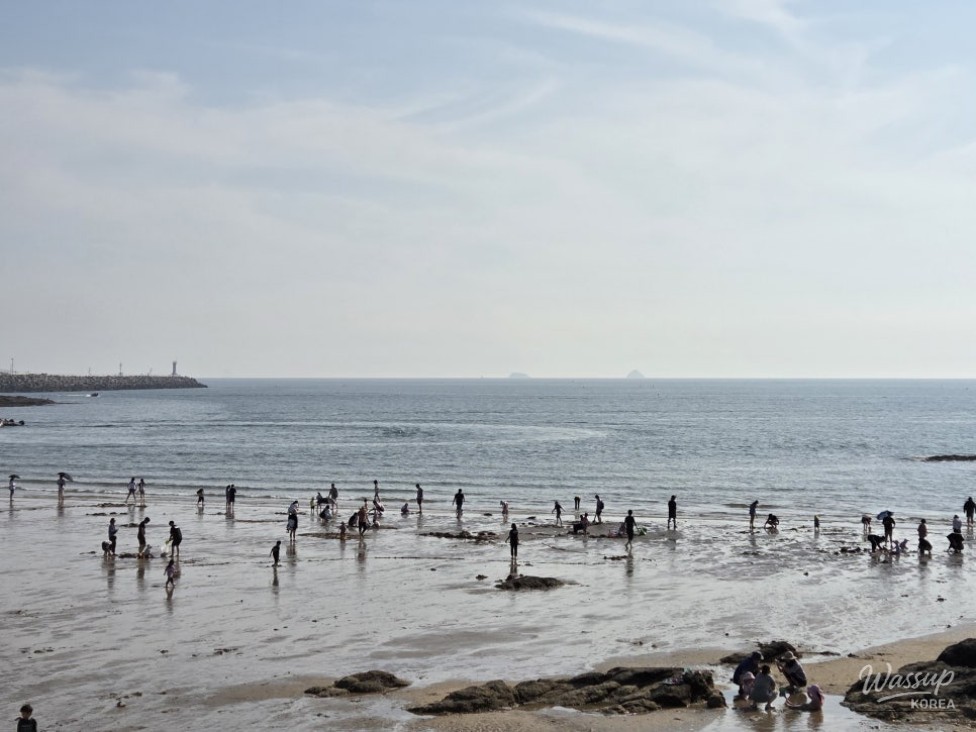 Exploring the Beauty of Gyeokpo Beach in Buan_12