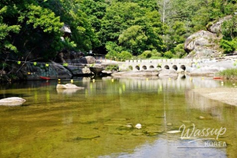Summer Fun at Goesan's Seonyugugok Valley_08