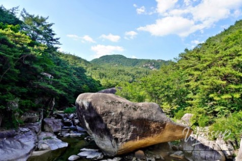 Summer Fun at Goesan's Seonyugugok Valley_21