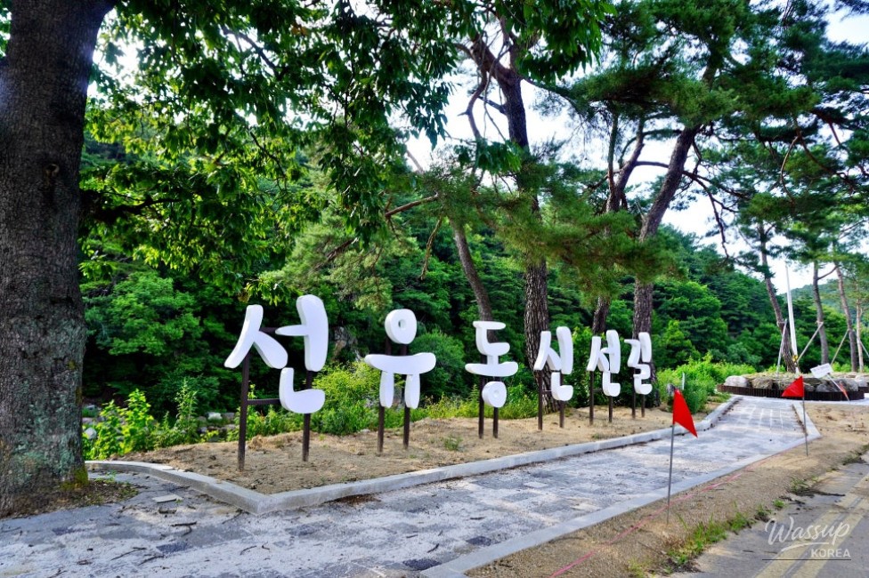 Summer Fun at Goesan's Seonyugugok Valley_03
