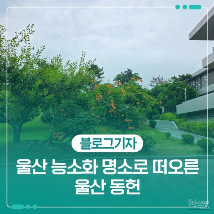 Exploring Ulsan Dongheon and Its Beautiful Summer Blooms2195