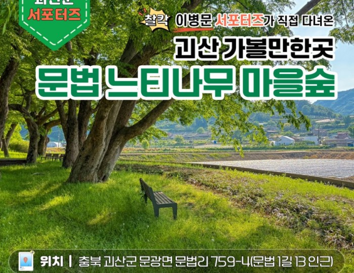 Exploring the Serenity of Goesan's Mulberry Tree Village Forest float