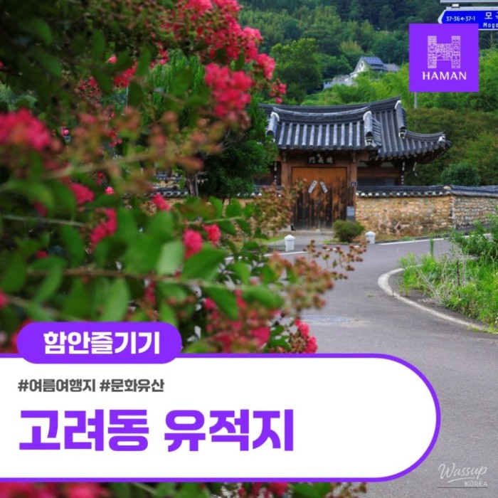 Exploring the Historic Goryeodong Site in Hamann2228