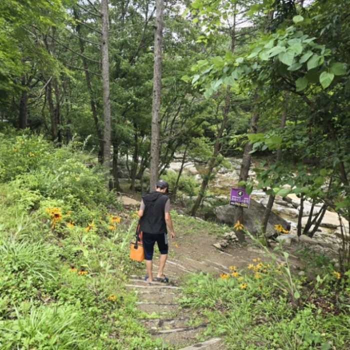 Exploring Wolseong Valley and Yongamjeong4636