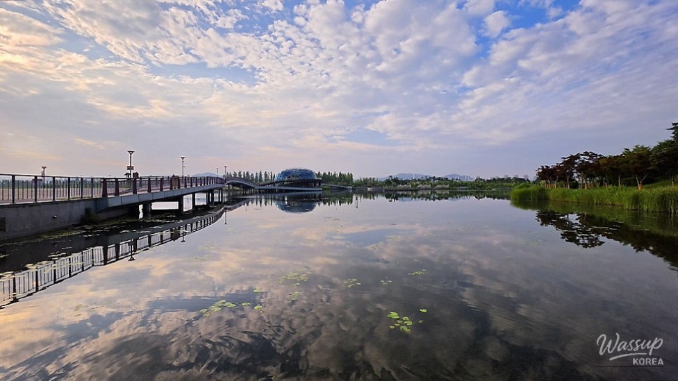 Exploring the Beauty of Sejong Lake Park in Summer_02