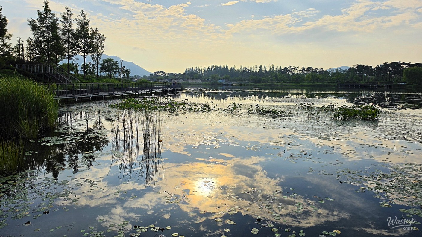 Exploring the Beauty of Sejong Lake Park in Summer_05